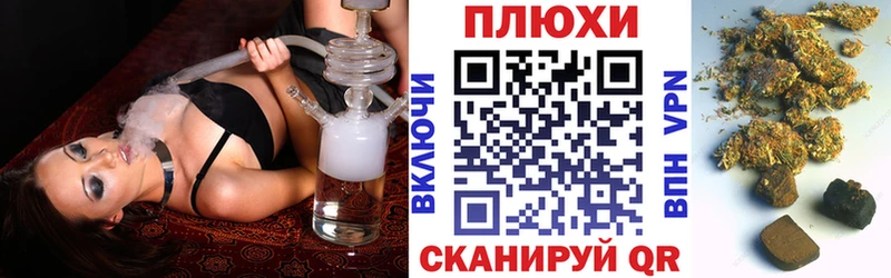 блэк спрут   Злынка  ГАШИШ hashish 