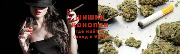 хмурый Гусь-Хрустальный
