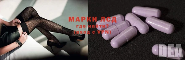 шишки Дмитров