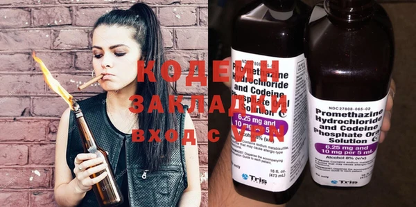 шишки Дмитров