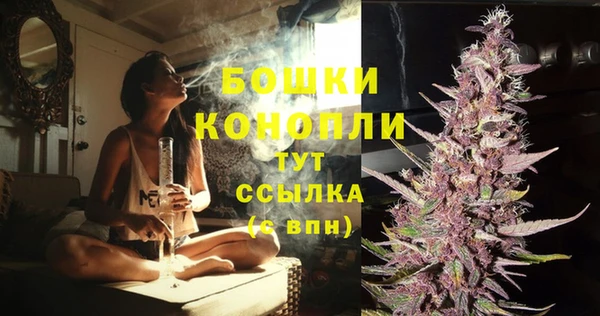 шишки Дмитров
