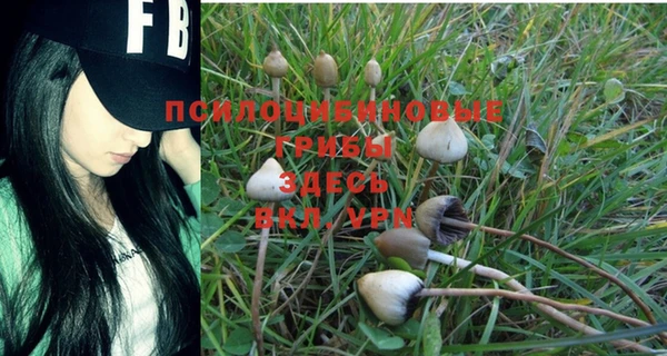 экстази Дмитриев