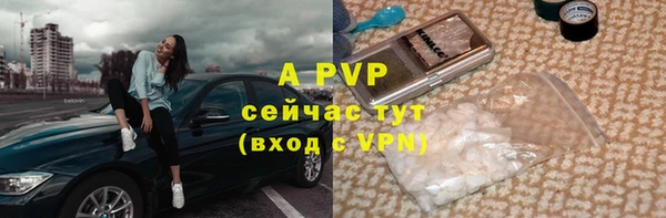 шишки Дмитров