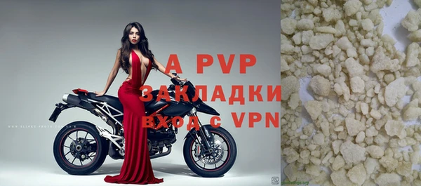 шишки Дмитров