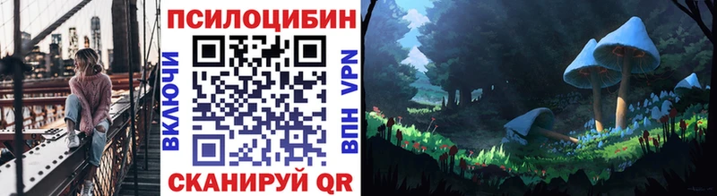 Псилоцибиновые грибы GOLDEN TEACHER  Злынка 